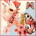 7_Flutter By