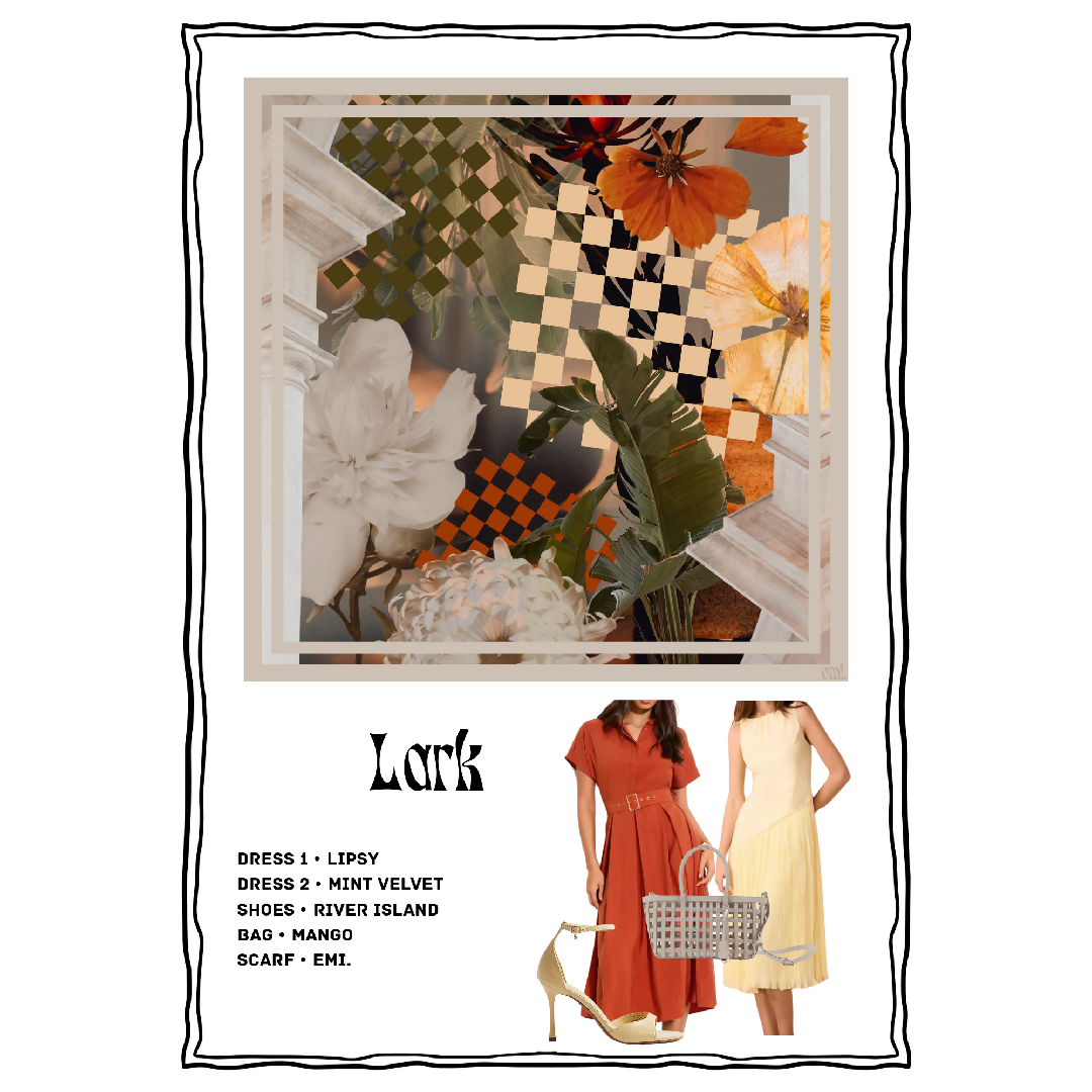 Lark Outfit