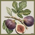 fig