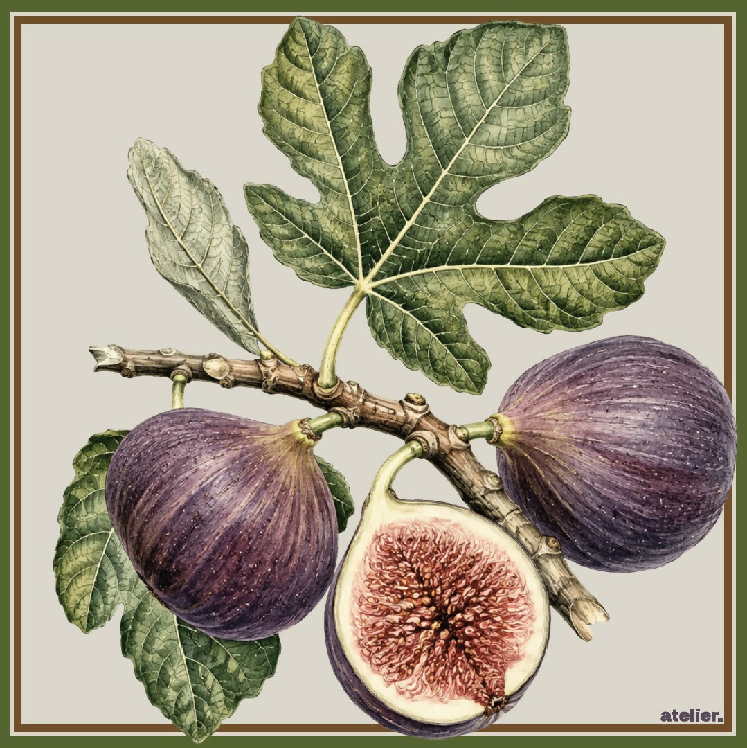 fig