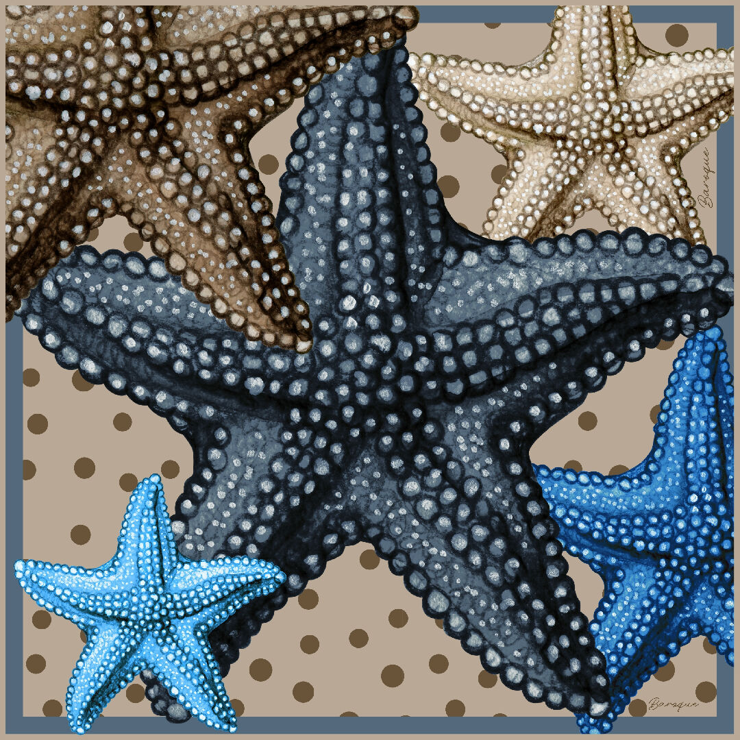 Wish upon a Star (1)