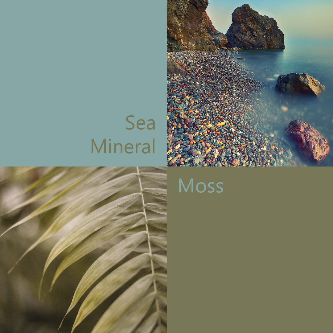 Sea-Mineral-&-Moss
