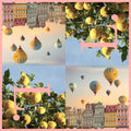 Product Image-0