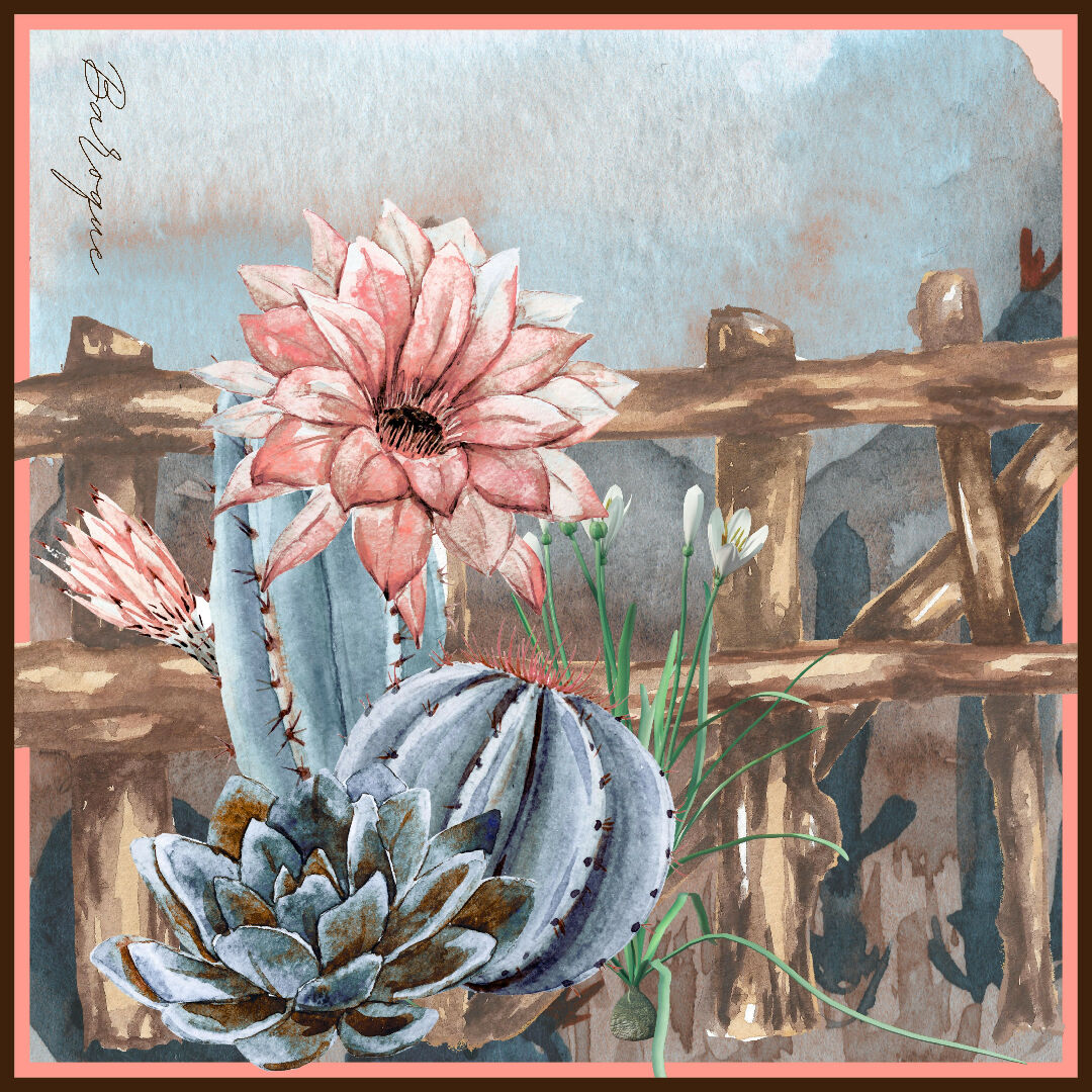 10_Country Cactus