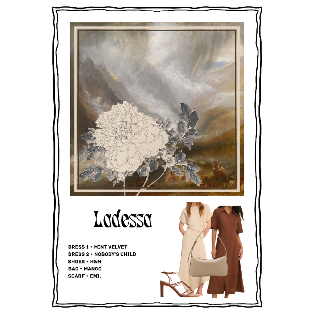 Ladessa Outfit