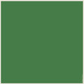 330-33-Shoestring-Border,-Mint-Green-1-Almond-web
