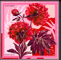 flowers of flame