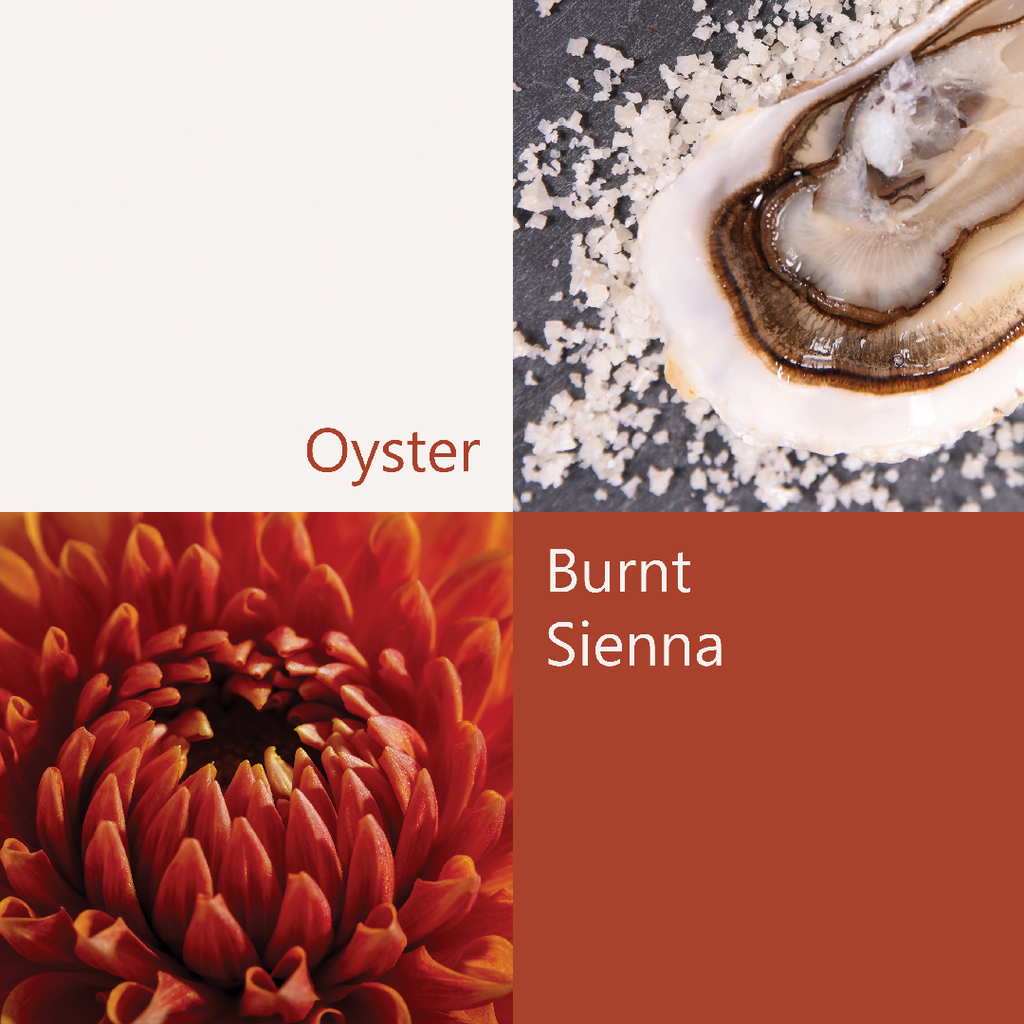 Oyster-&-Burnt-Sienna