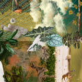 Product Image-0