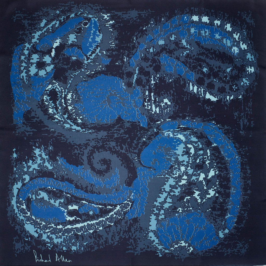 Richard Allan | Blue Illusion