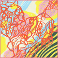 woven sunset resize