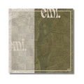 Lumi Web
