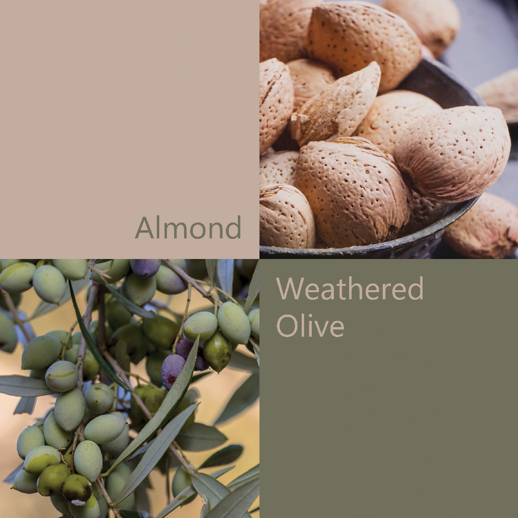 Almond-&-Weathered-Olive