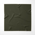 Al _Mamun_Alpine- soft stone 1