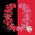 6_Opposites Attract