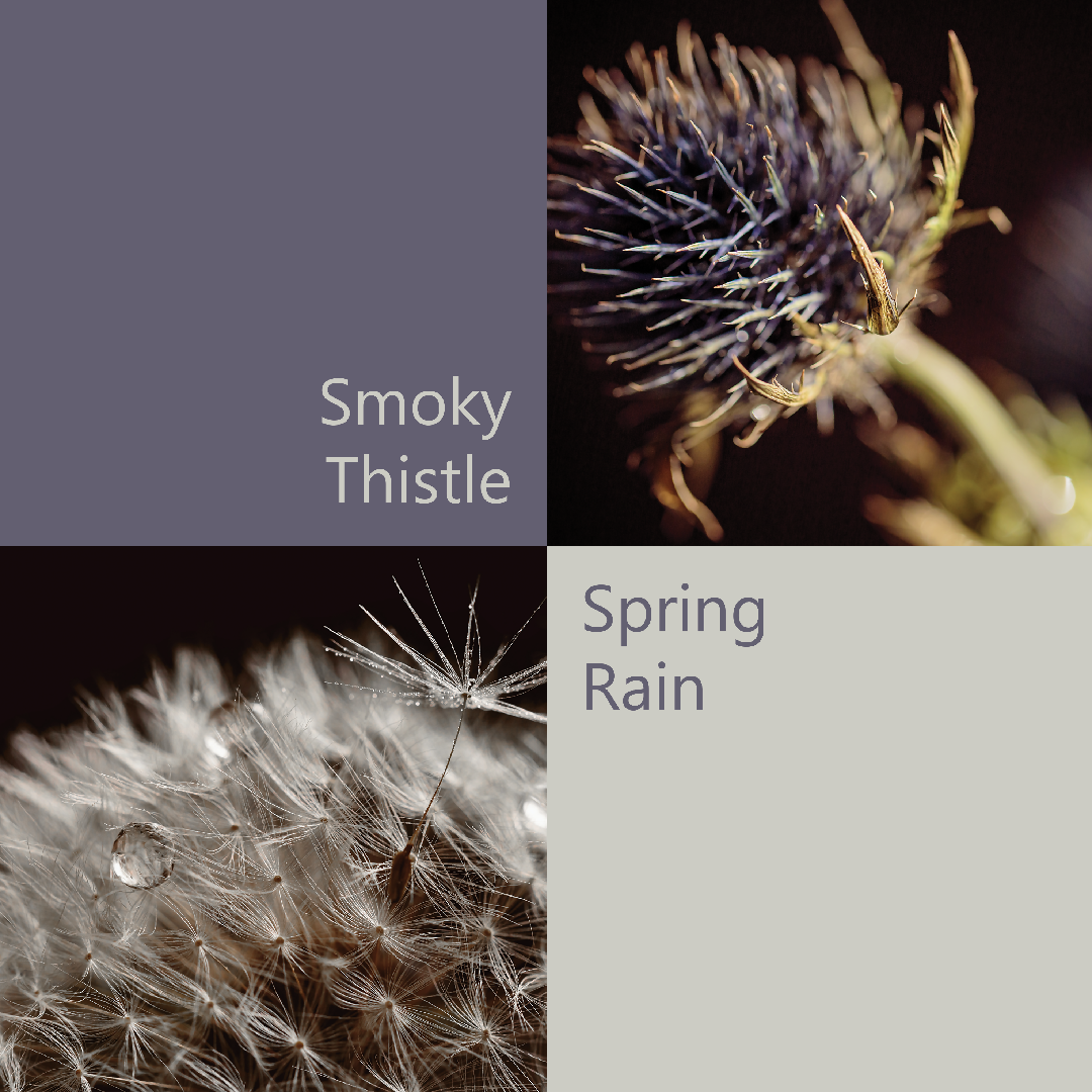Smoky-Thistle-&-Spring-Rain